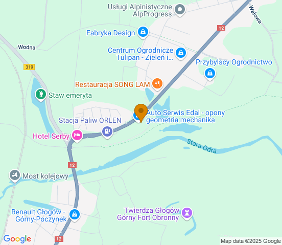 Mapa dojazdu do warsztatu samochodowego w miejscowości Serby