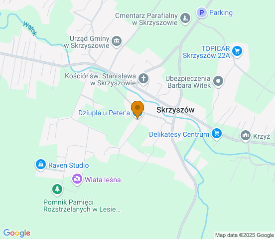 Mapa dojazdu do warsztatu samochodowego w miejscowości Skrzyszów