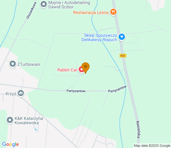 Mapa dojazdu do warsztatu samochodowego w miejscowości Skrzeszew