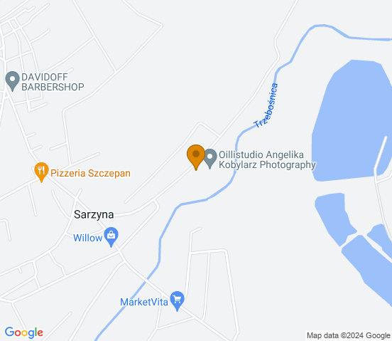 Mapa dojazdu do warsztatu samochodowego w miejscowości Nowa Sarzyna