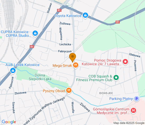 Mapa dojazdu do warsztatu samochodowego w miejscowości Katowice