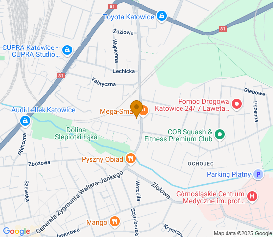 Mapa dojazdu do warsztatu samochodowego w miejscowości Katowice